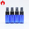 푸른 스크루 상위 15 밀리람베르트 0.5 온스 비어 있는 플라스틱 분무 병 홈 디팟
